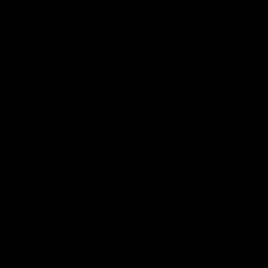 Meet your Posher, Ashantea